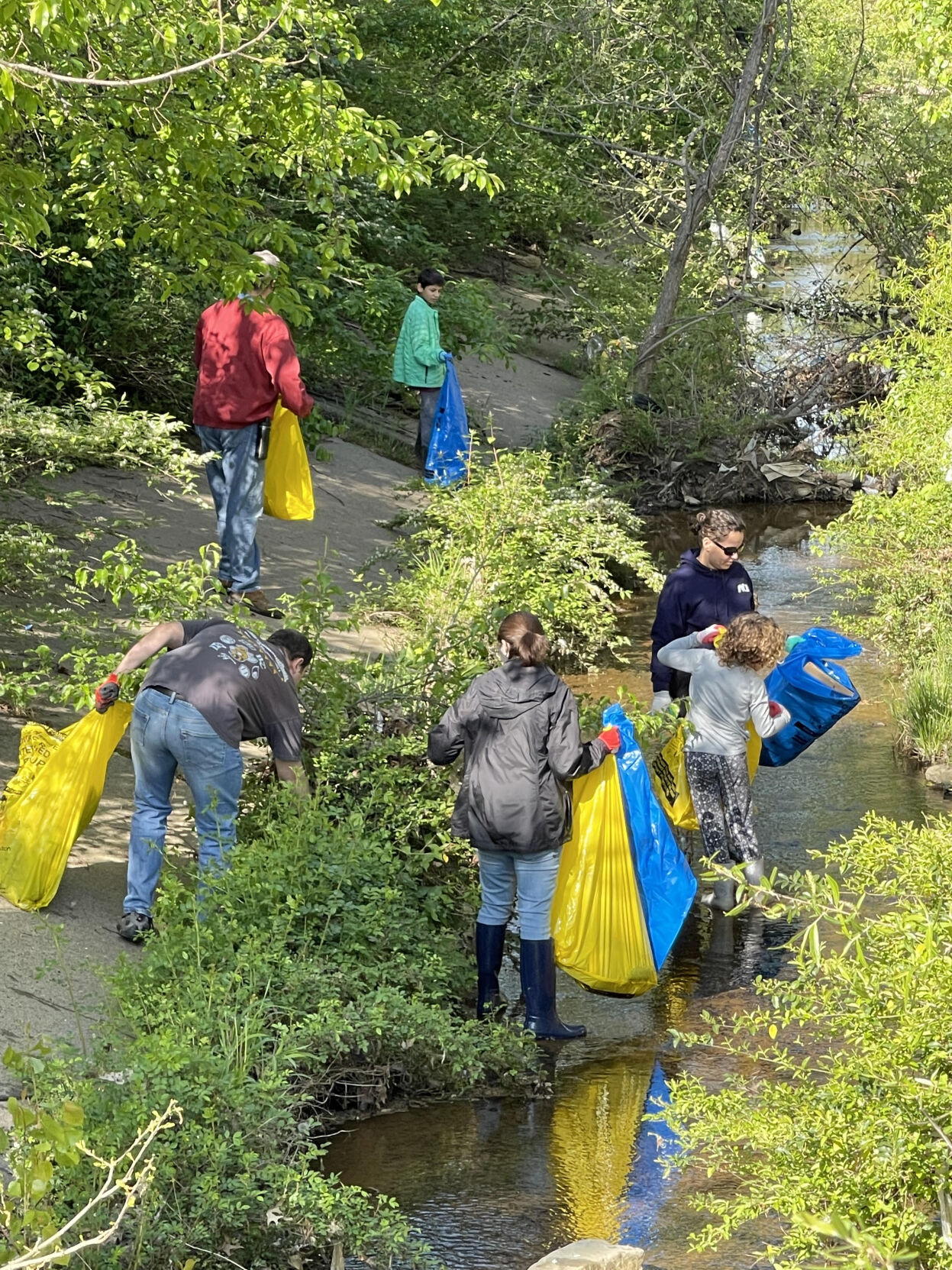 Creek clean up.jpg